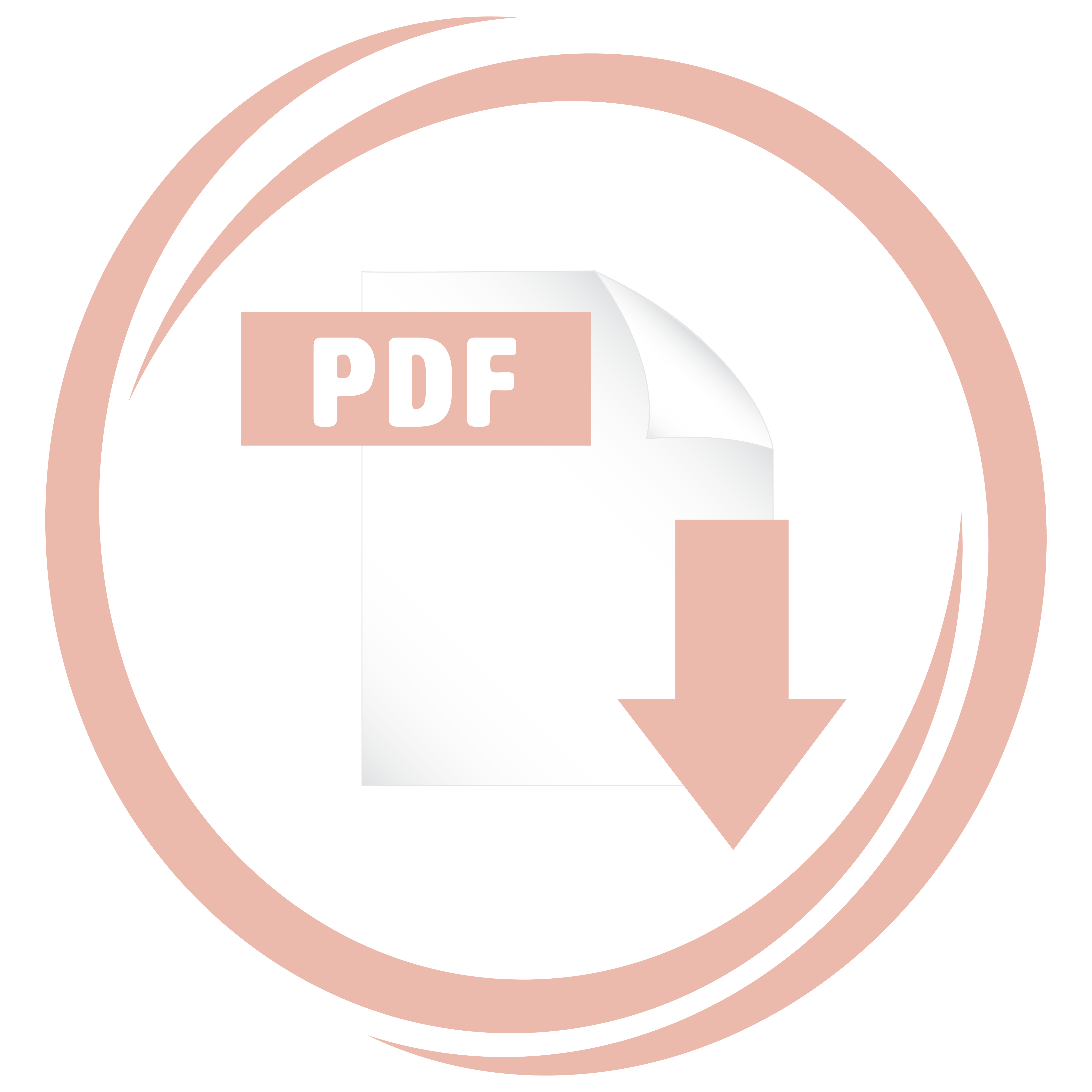 Download PDF